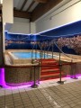 Neonica LED Neon Flex SLIM