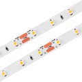 NEONICA LED Strip 3528 300 LED CRI 90+